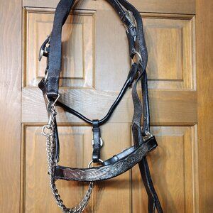 NWOT Dark Oil Show Halter w/lead